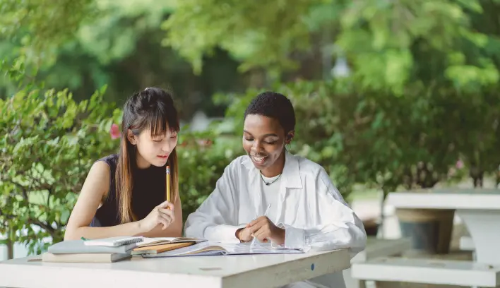Students studying together outdoors