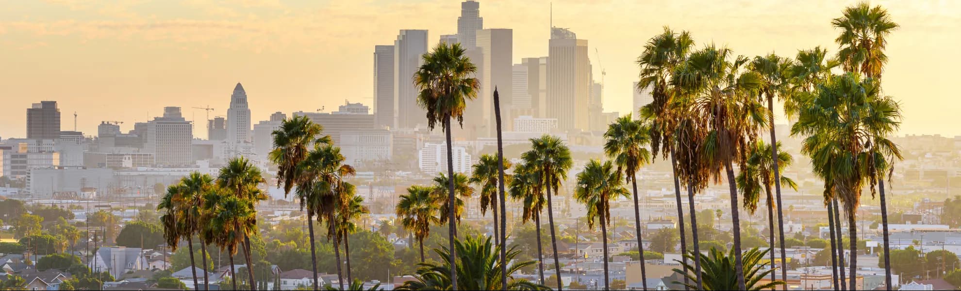 view of a busy metropolitan skyline